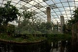 leipzig zoo-01_07_2011_gondwanaland_074